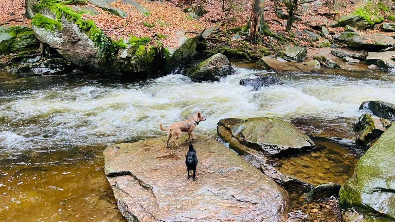 Chalupa U Bohumila Rybna nad Zdobnici Extérieur photo